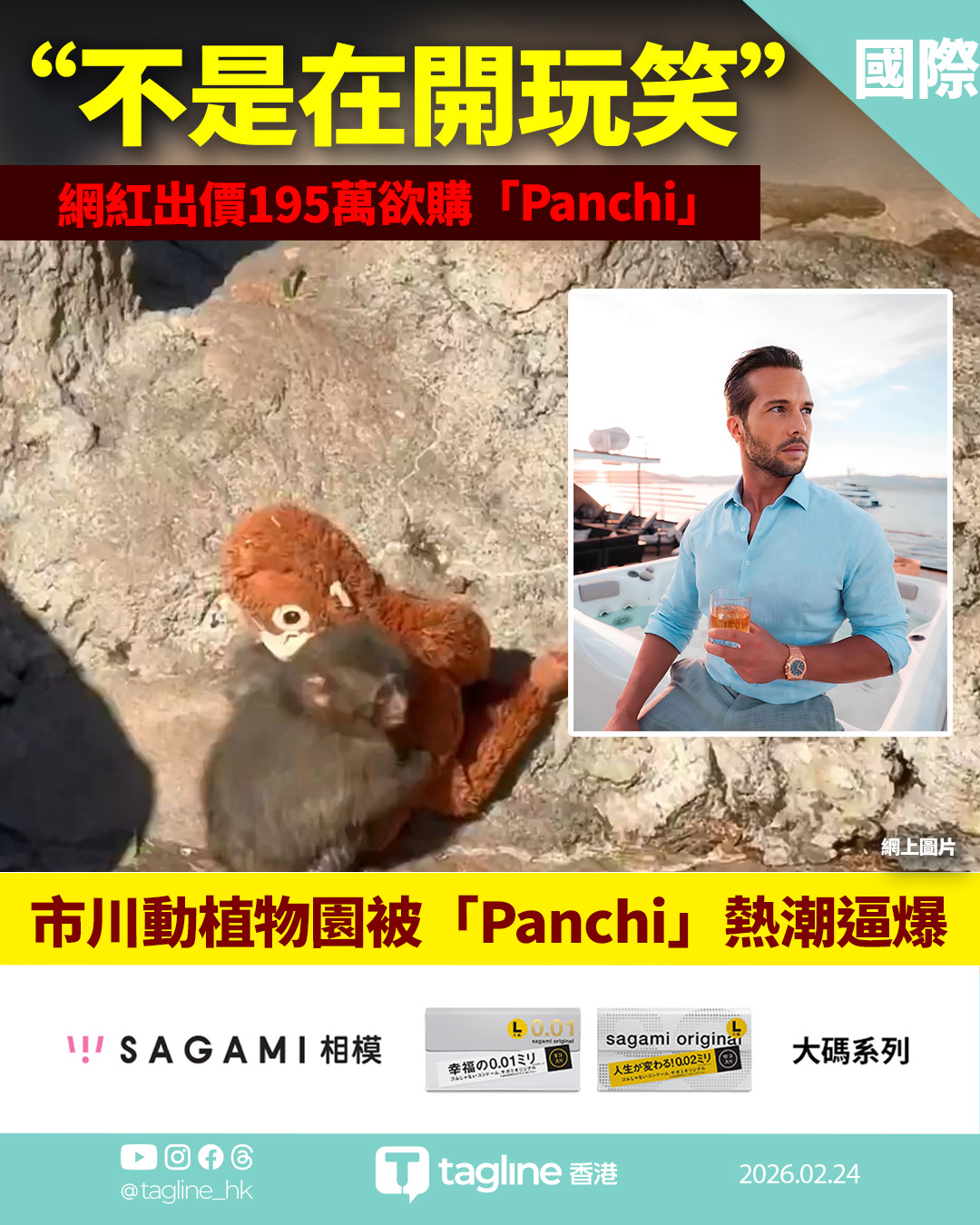 【Sagami安全套特約】市川動植物園被「Panchi」熱潮逼爆 網紅出價195萬欲購「Panchi」