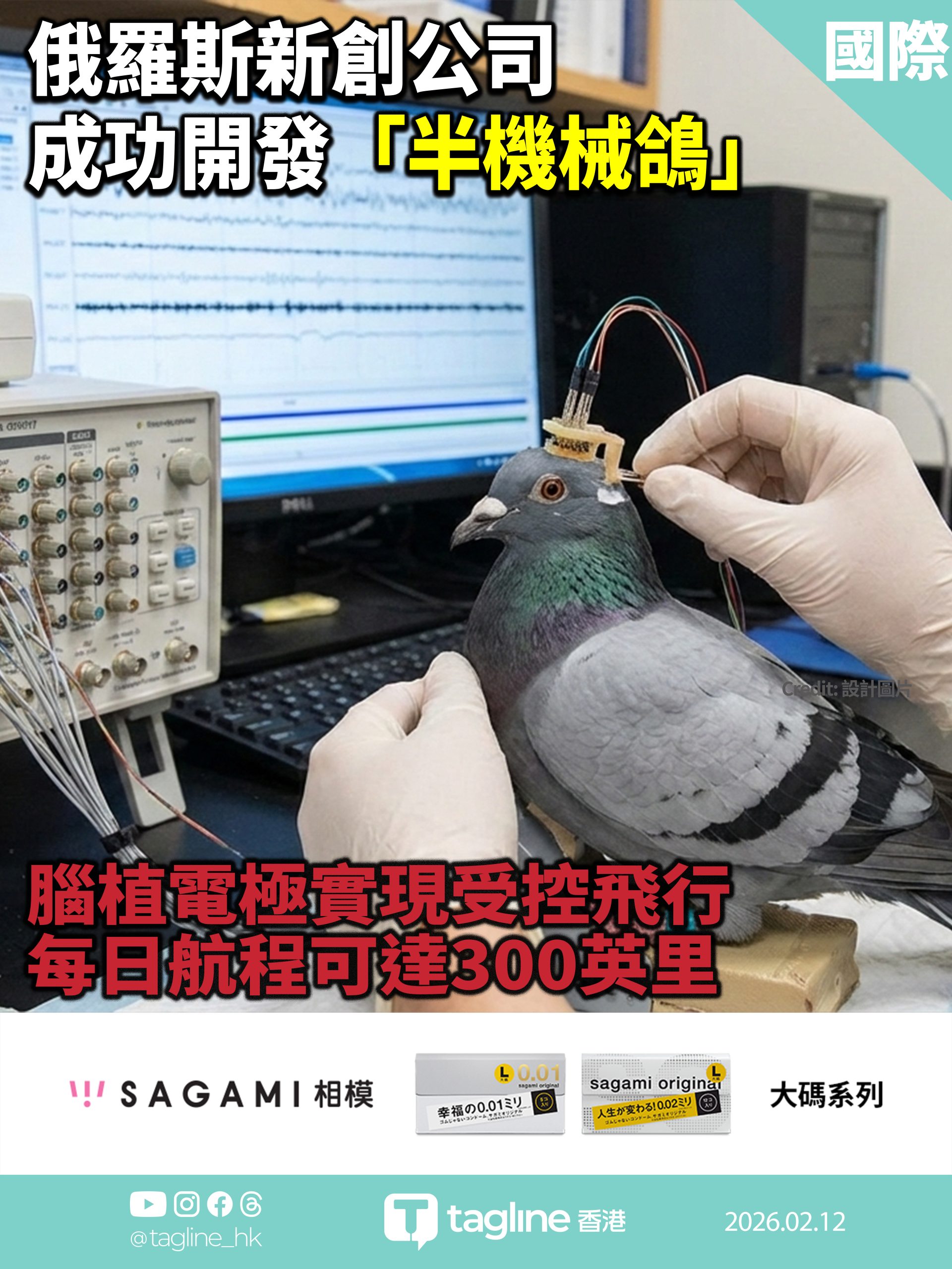 【Sagami安全套特約】俄羅斯新創公司成功開發「半機械鴿」 腦植電極實現受控飛行 每日航程可達300英里