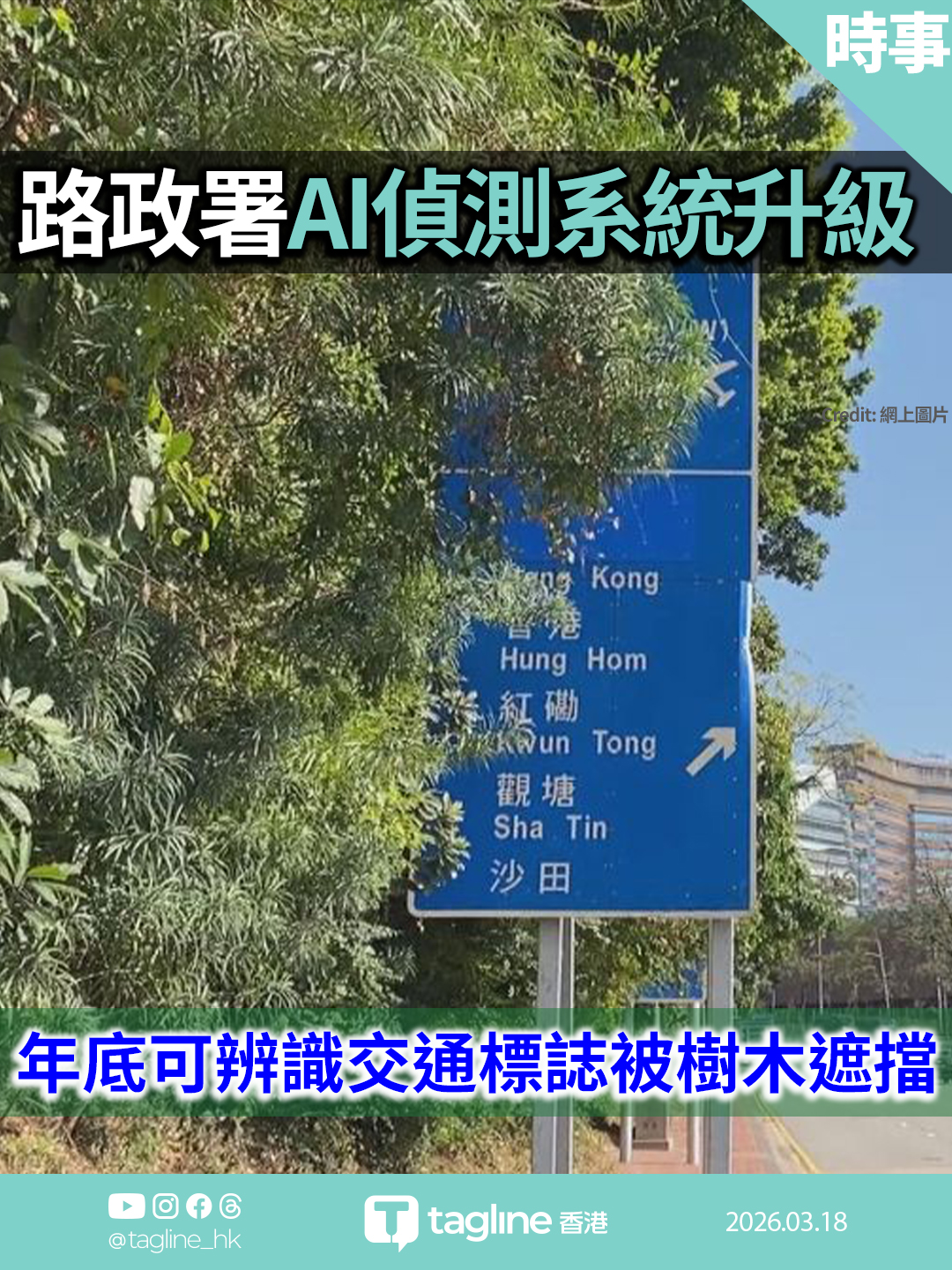 路政署AI偵測系統升級 年底可辨識交通標誌被樹木遮擋 防患於未然