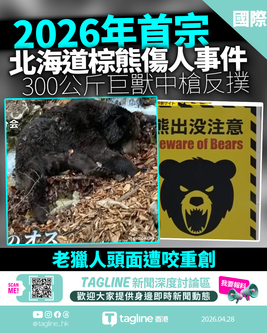 2026年首宗北海道棕熊傷人事件 300公斤巨獸中槍反撲　老獵人頭面遭咬重創