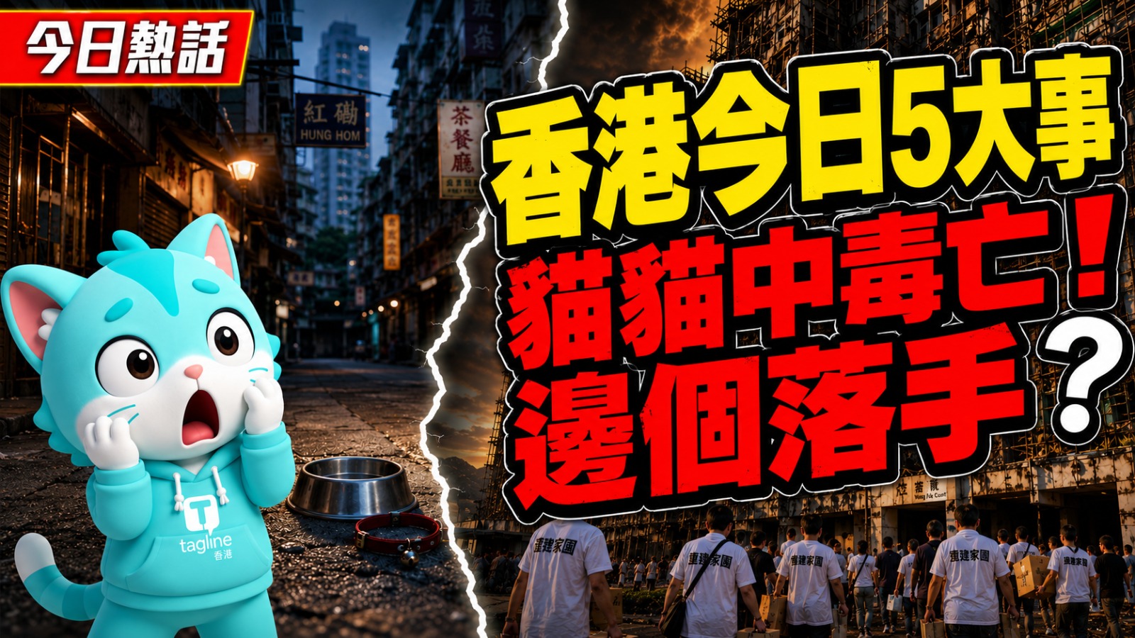 今日香港新聞重點：紅磡店貓疑遭毒殺 宏福苑災民促原址重建