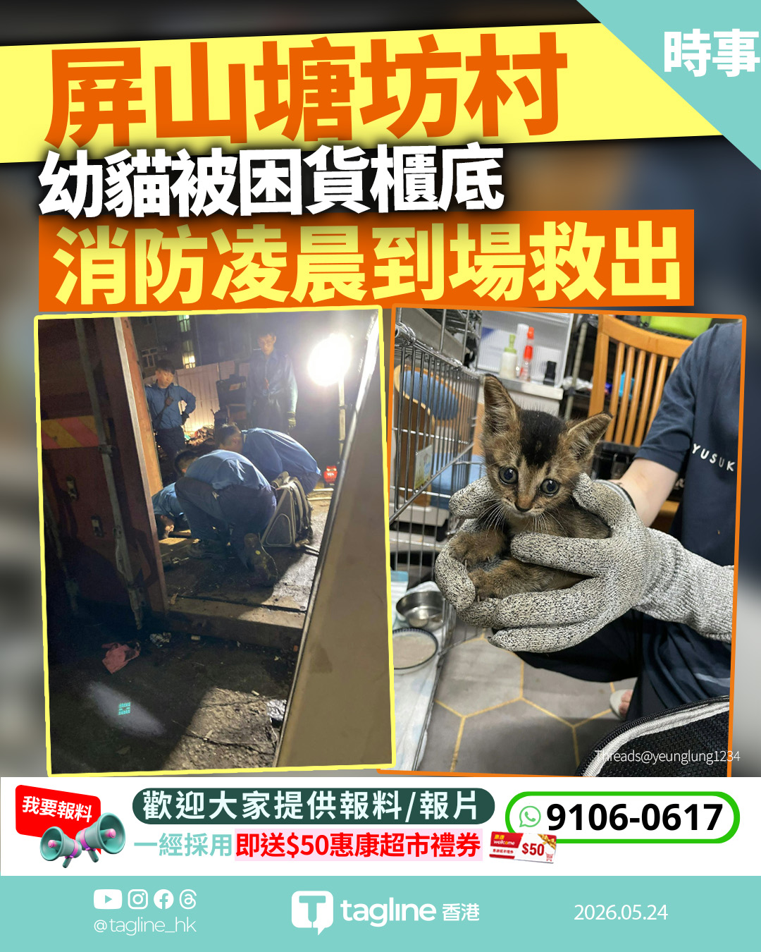 屏山塘坊村 幼貓被困貨櫃底 消防凌晨到場救出