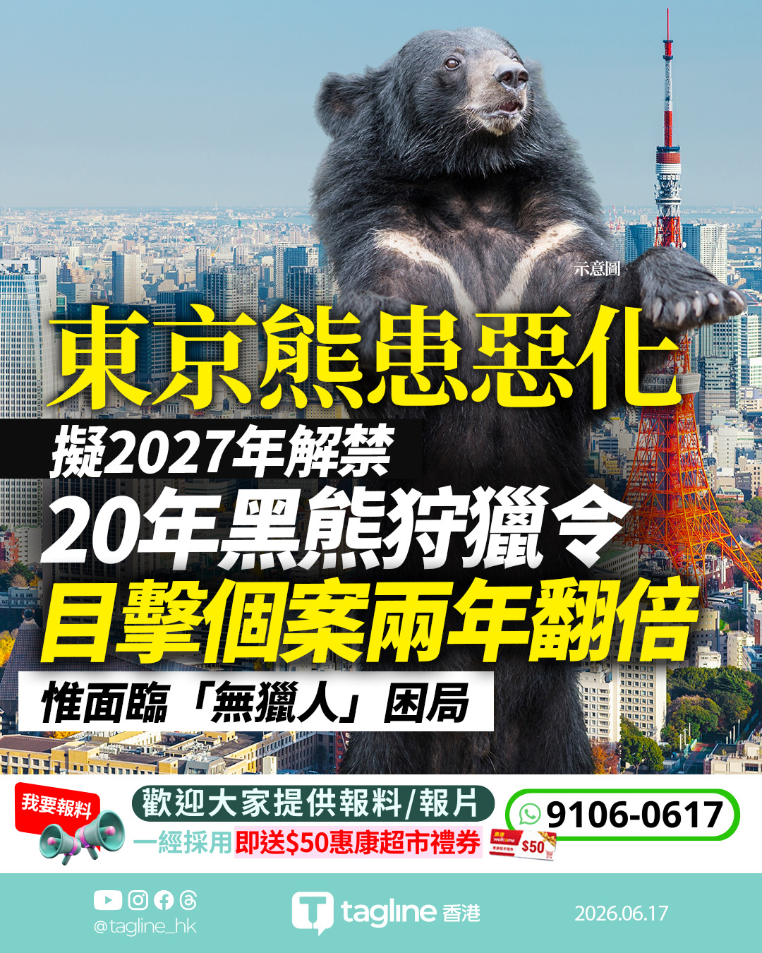 東京目擊黑熊個案兩年翻倍 擬解禁20年「黑熊狩獵令」