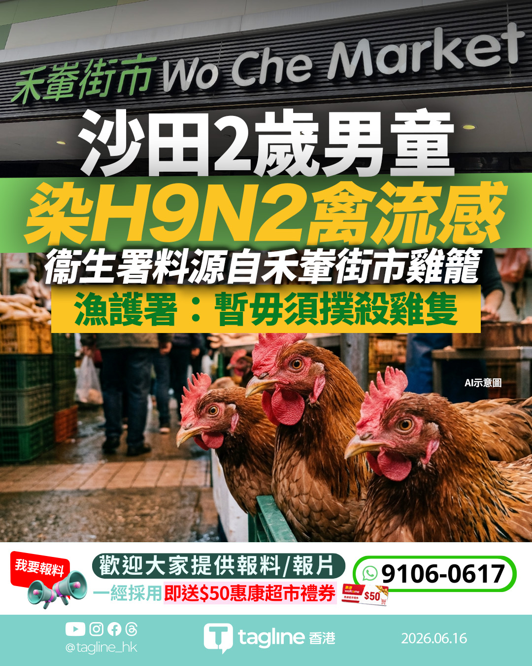 沙田2歲男童染H9N2禽流感 衞生署料源自禾輋街市雞籠鐵盤