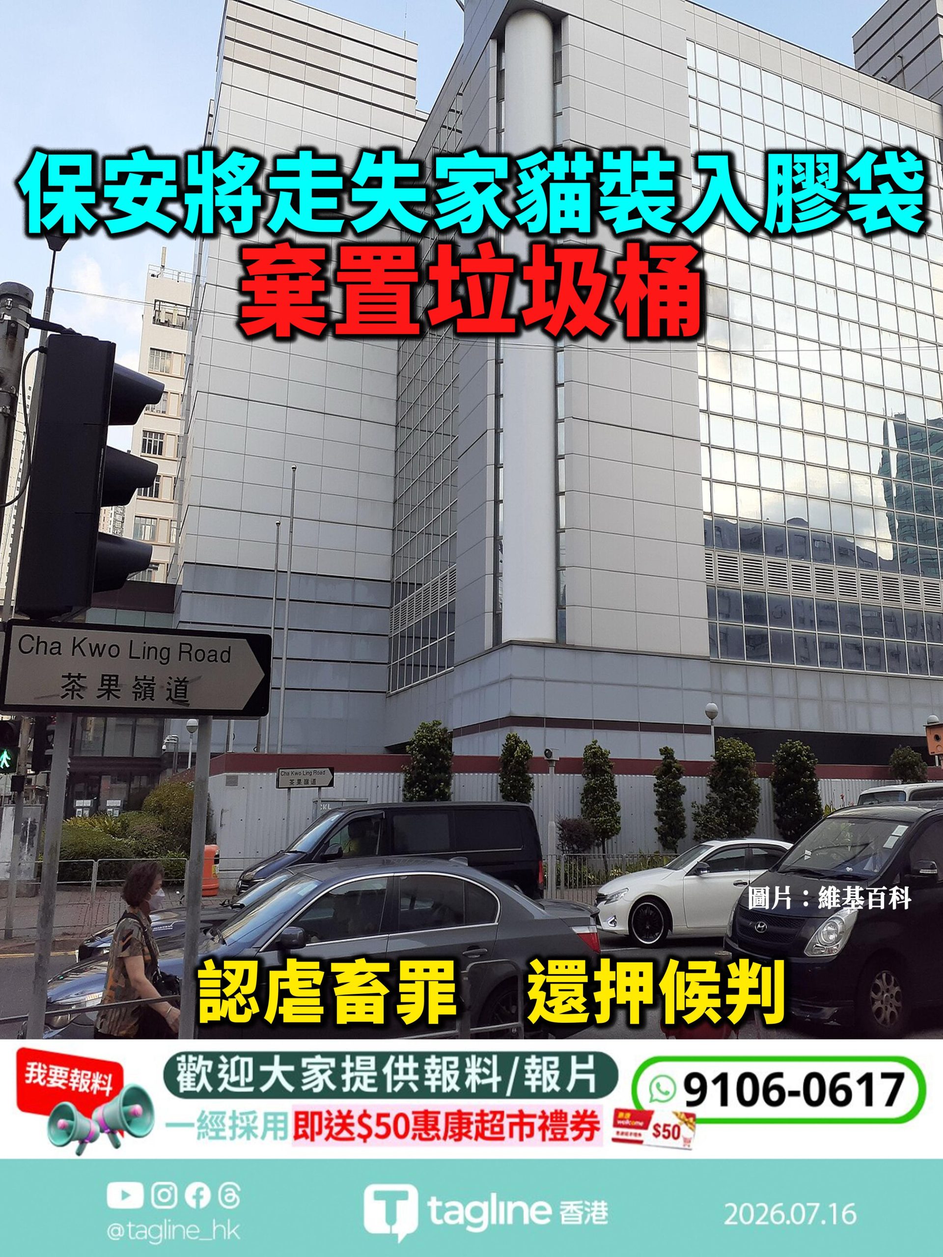 保安認虐畜　涉將走失家貓裝袋棄垃圾桶