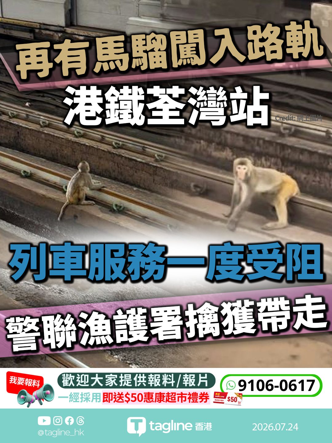 港鐵荃灣站再有馬騮闖入路軌 列車服務一度受阻 警聯漁護署擒獲帶走