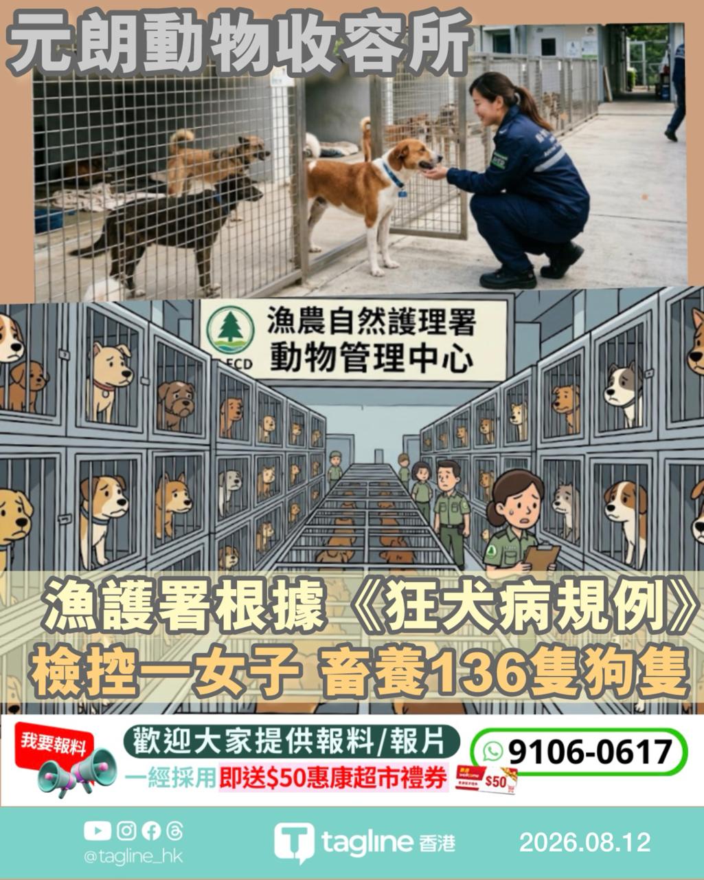 元朗一間動物收容所有136隻狗涉嫌未領牌　漁護署檢控一名女子