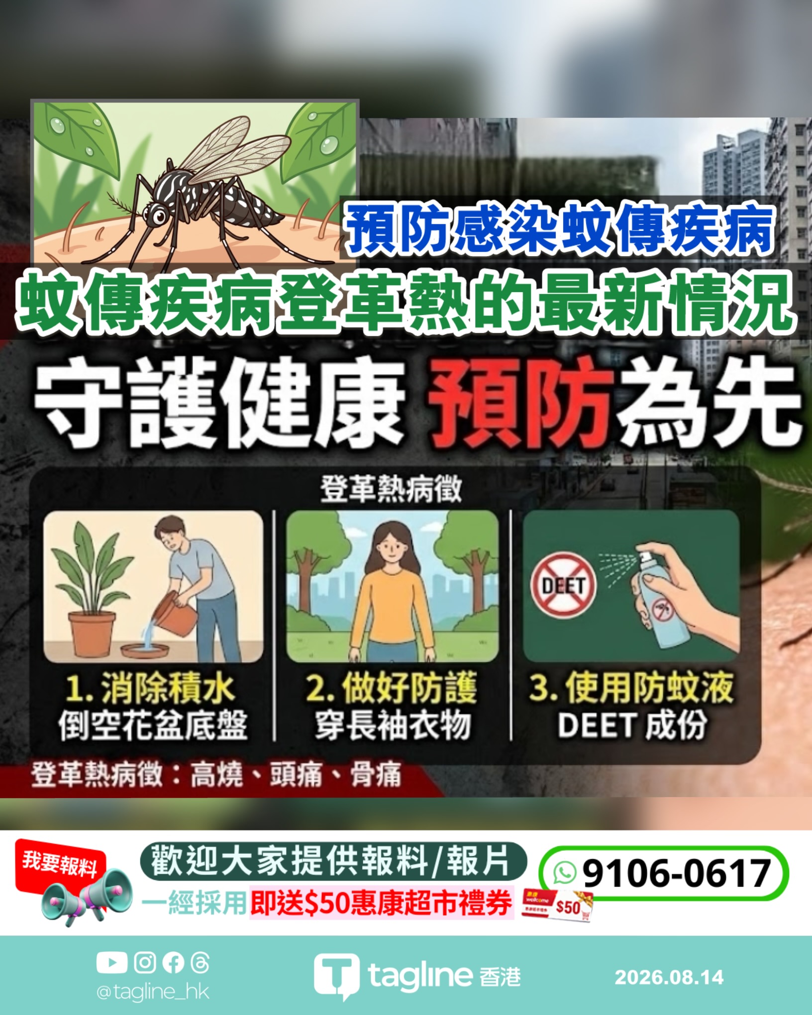 蚊傳疾病登革熱的最新情況