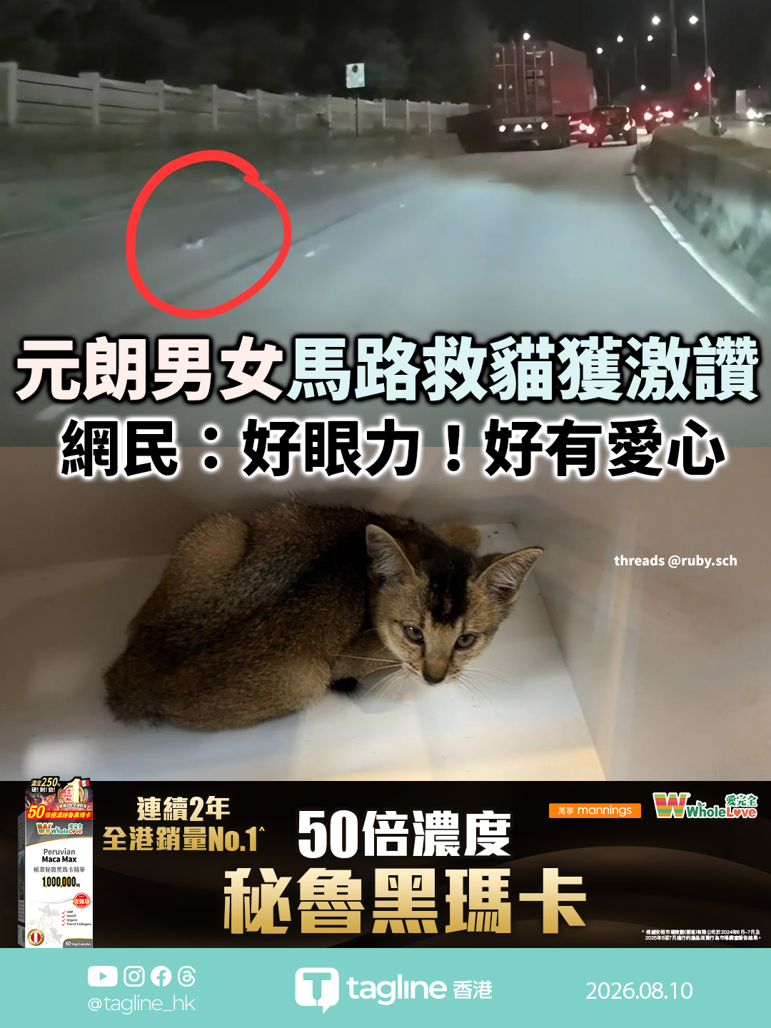 【全港銷量No.1 | WholeLove 黑瑪卡特約】元朗男女馬路飛車救貓獲激讚 網民：好眼力！好有愛心
