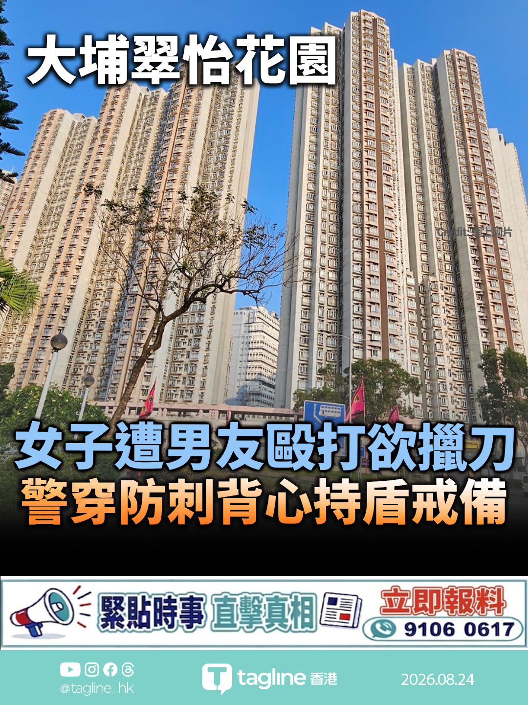 大埔翠怡花園 女子遭男友毆打欲擸刀 警穿防刺背心持盾戒備