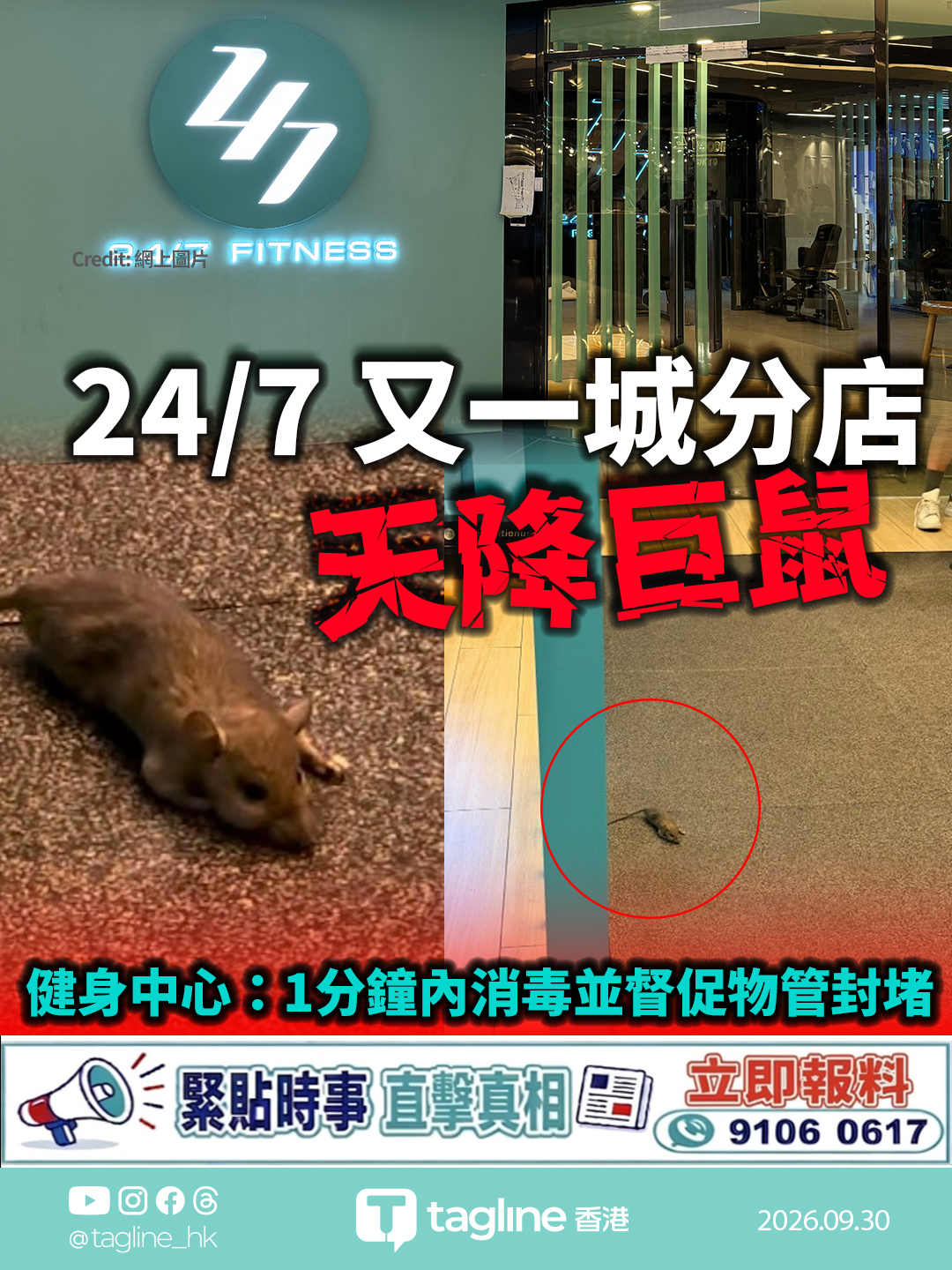 24/7 FITNESS又一城分店天降巨鼠 健身中心：1分鐘內消毒並督促物管封堵