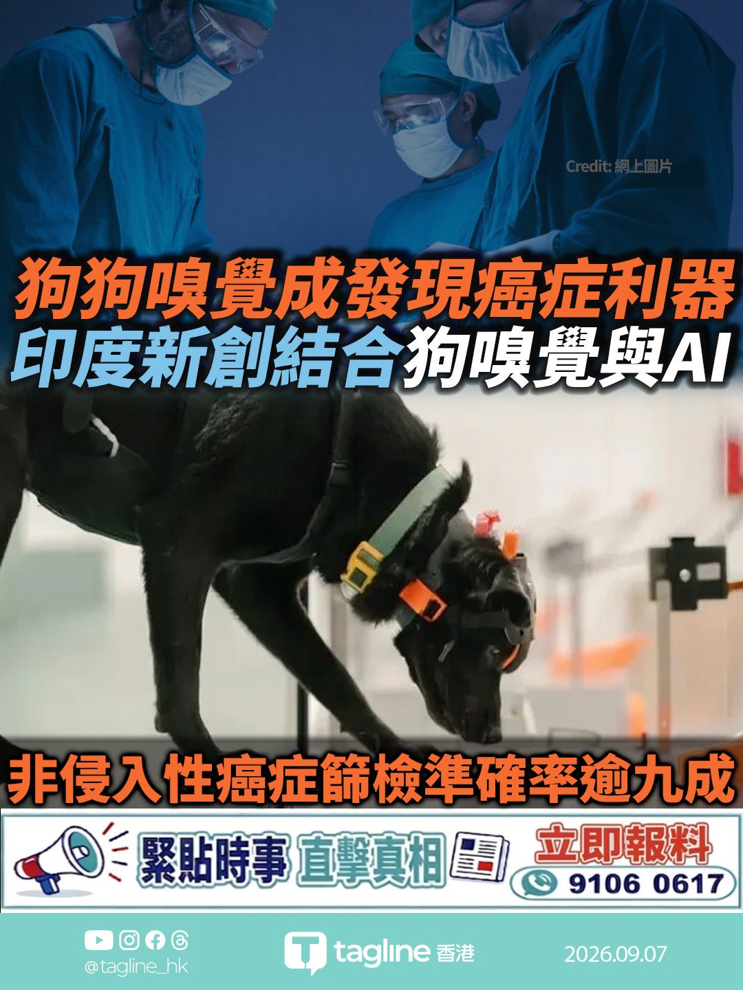 印度新創結合狗嗅覺與AI 非侵入性癌症篩檢準確率逾九成