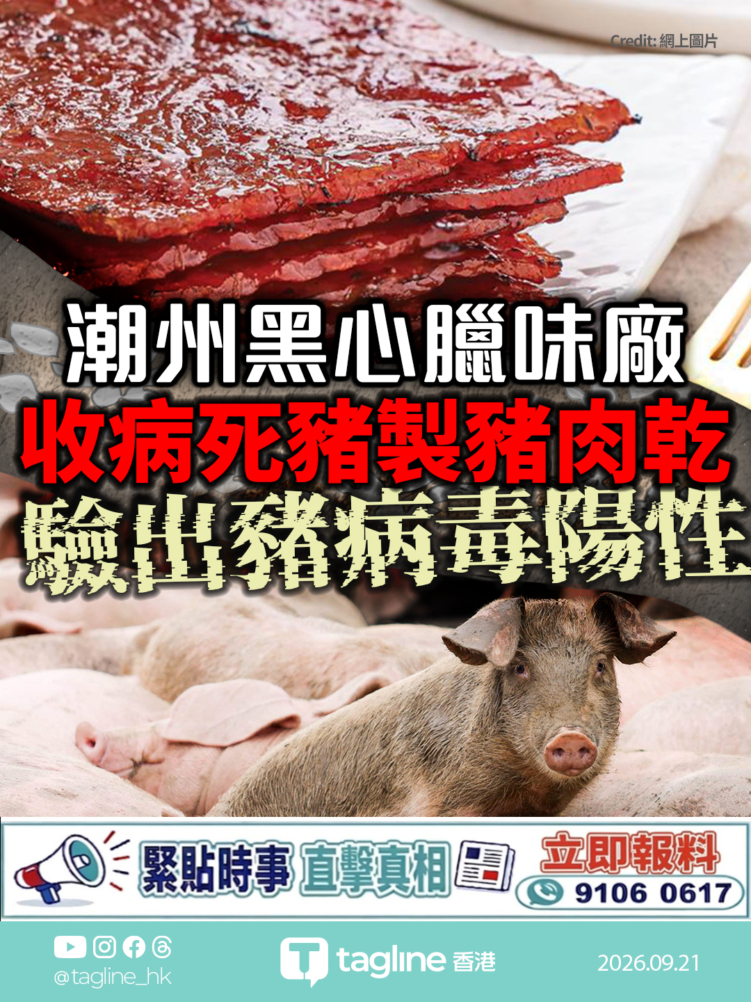 潮州黑心臘味廠收病死豬製豬肉乾 驗出豬病毒陽性 涉案21萬人民幣 負責人移送公安