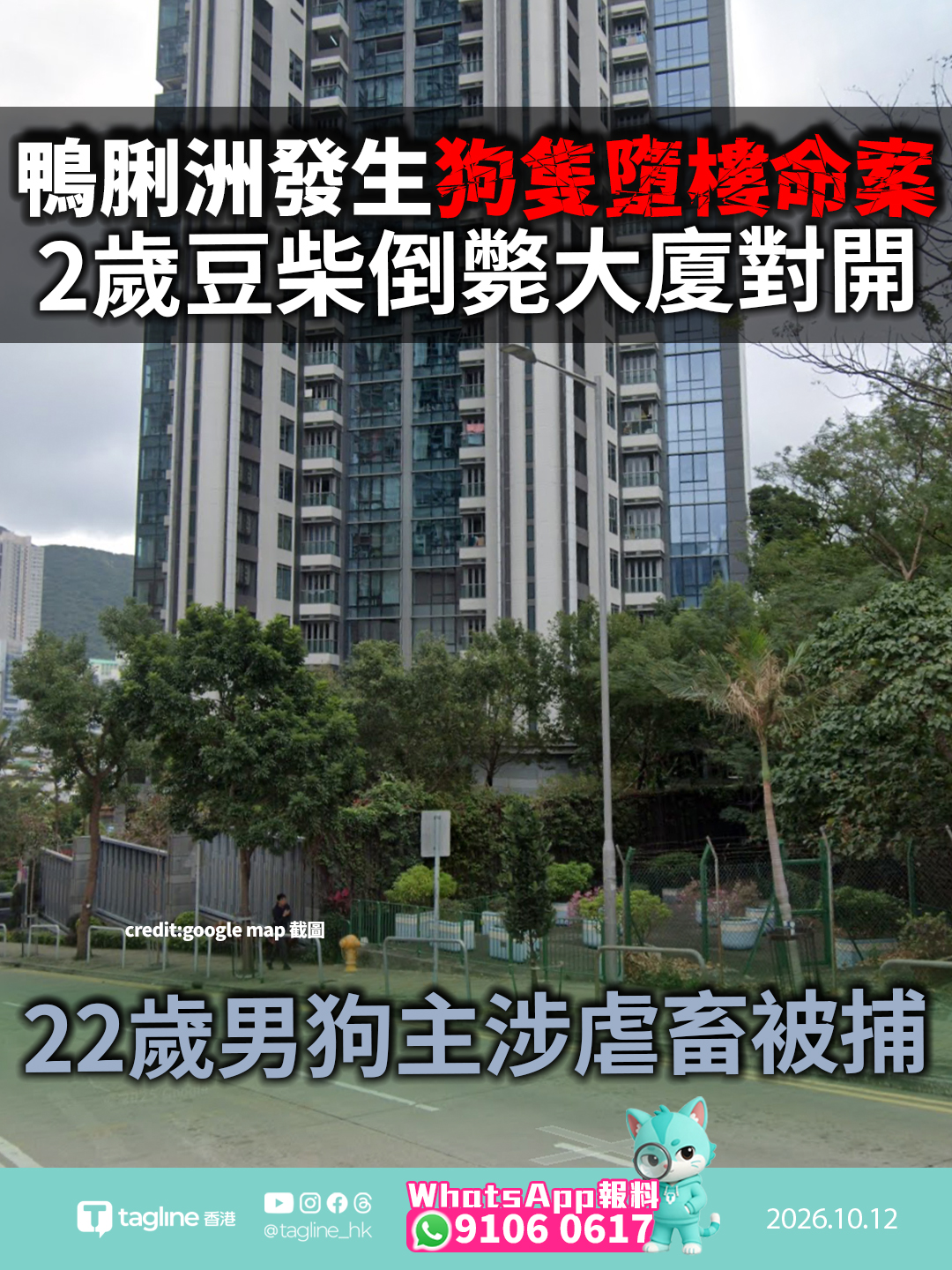 鴨脷洲發生狗隻墮樓命案 2歲豆柴倒斃大廈對開 22歲男狗主涉虐畜被捕